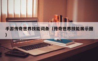 手游传奇世界技能词条（传奇世界技能展示图）