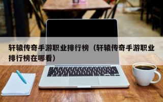 轩辕传奇手游职业排行榜（轩辕传奇手游职业排行榜在哪看）