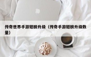 传奇世界手游翅膀升级（传奇手游翅膀升级数量）