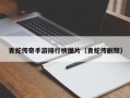 青蛇传奇手游排行榜图片（青蛇传剧照）