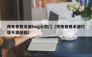 传奇世界手游bug小窍门（传奇世界手游打怪不涨经验）